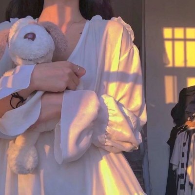 教授与疯子