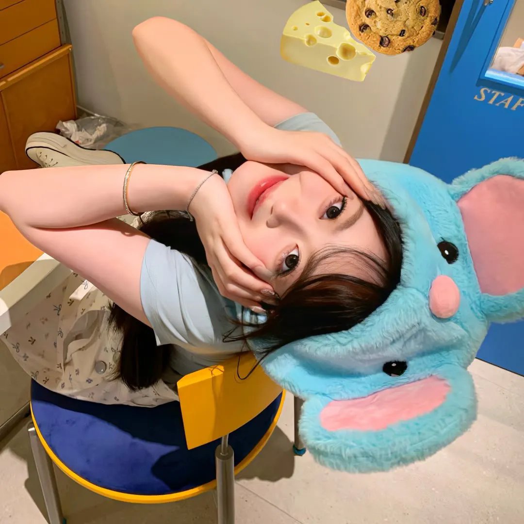 龙猫