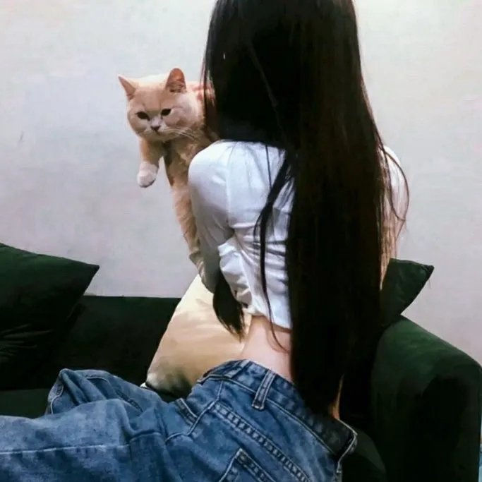 不要碰我的女儿